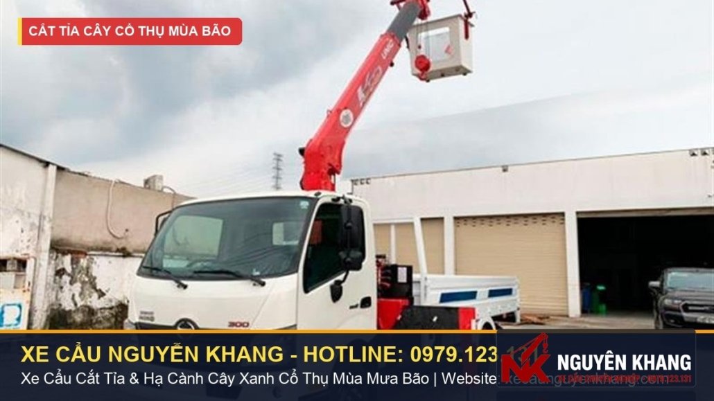 Dịch vụ xe cẩu gắn giỏ nâng người cưa tỉa nhánh cây cao & xử lý cây ngã đổ mùa mưa bão TPHCM