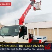 Dịch vụ xe cẩu gắn giỏ nâng người cưa tỉa nhánh cây cao & xử lý cây ngã đổ mùa mưa bão TPHCM