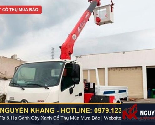 Dịch vụ xe cẩu gắn giỏ nâng người cưa tỉa nhánh cây cao & xử lý cây ngã đổ mùa mưa bão TPHCM